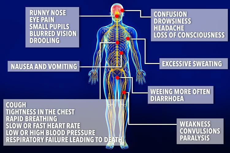 Sarin gas attacks the nervous system, triggering a range of nasty symptoms from a runny nose and foaming mouth to seizures and breathing difficulties