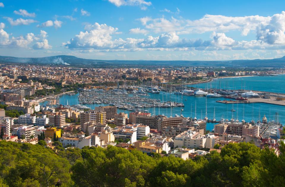 The Mayor of Palma wants to outlaw tourist rental apartments in the city from June onwards, leaving holidaymakers panicked 