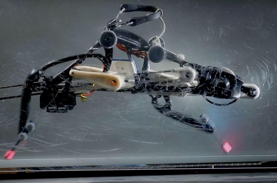  Could a robot like this end up chasing humans?