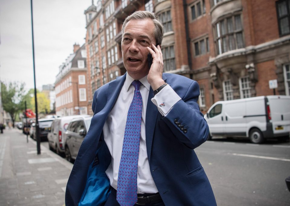 Former chief Nigel Farage said of Ukips election demise: We won the war, but we have not won the peace