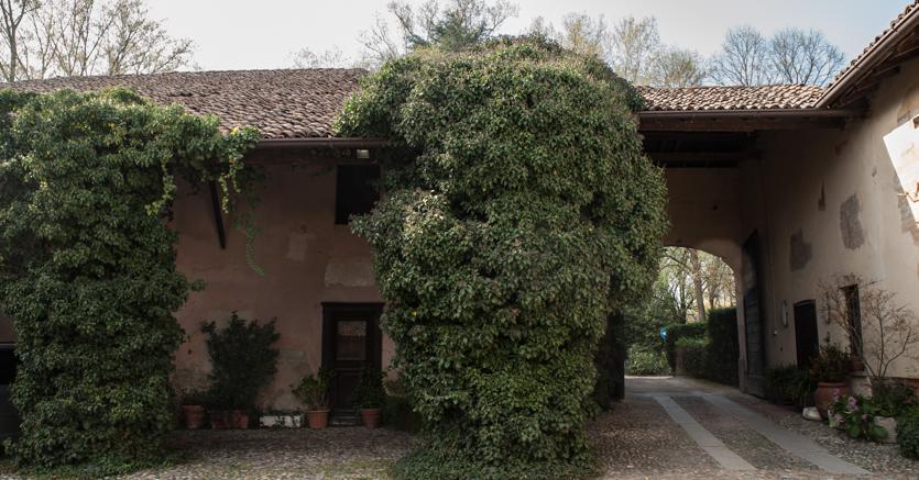 Molino is found in the town of Certosa di Pavia, in the Lombardi region 