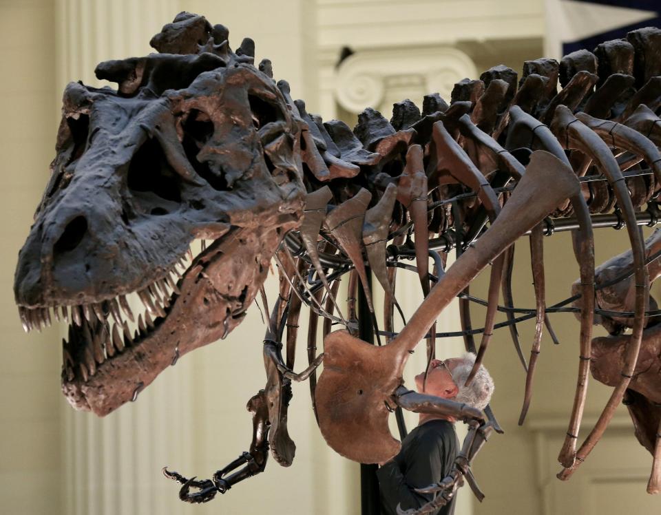  The T. Rex was one of the scariest predators the world has ever seen
