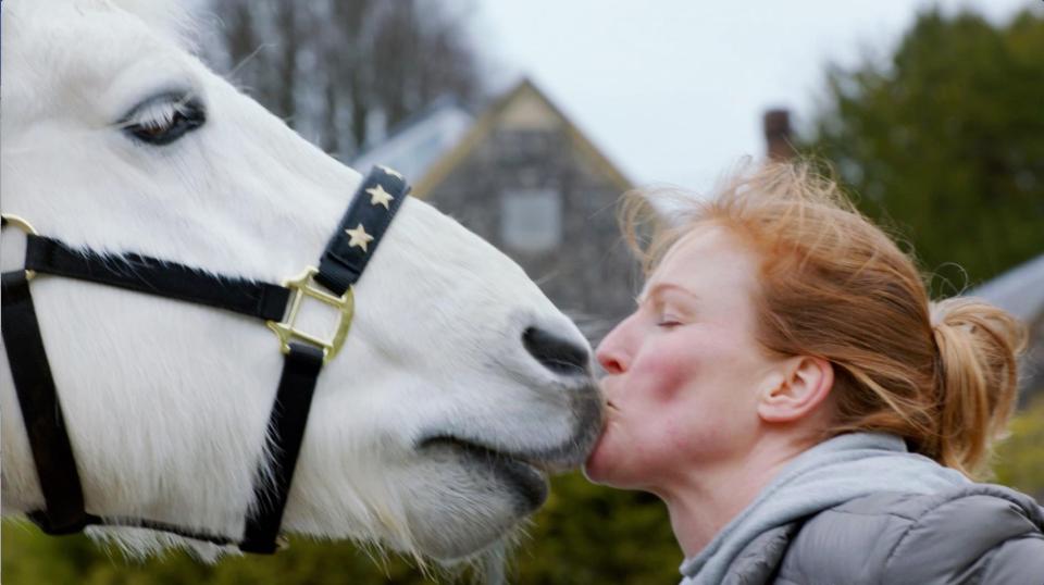  The show will train animals from dogs to horses to chickens to perform hilarious tricks