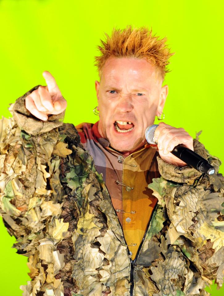 Johnny Rotton has been tipped as a future Eurovision entry for Ireland 