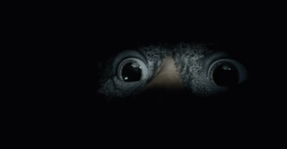  Twitter users speculate over video clip, which is being tipped as a teaser for John Lewis Christmas advert.