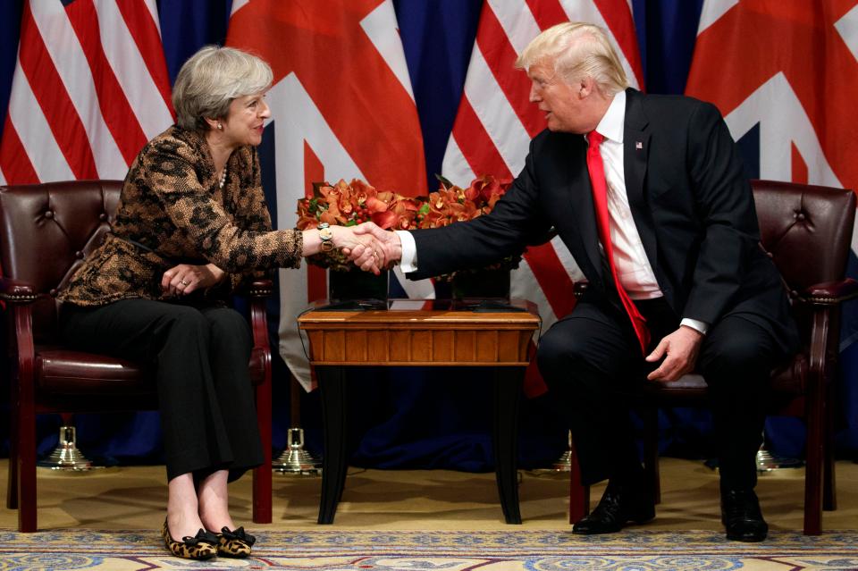 Mrs May controversially extended the offer of a state visit - officially on behalf of the Queen - when she became the first world leader to meet Trump