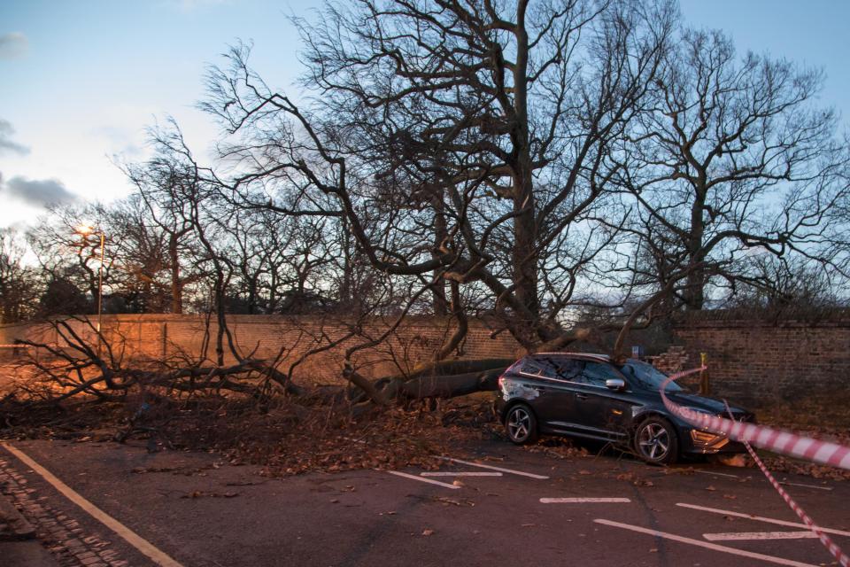 The Met Office warned of danger to life due to the strong gusts