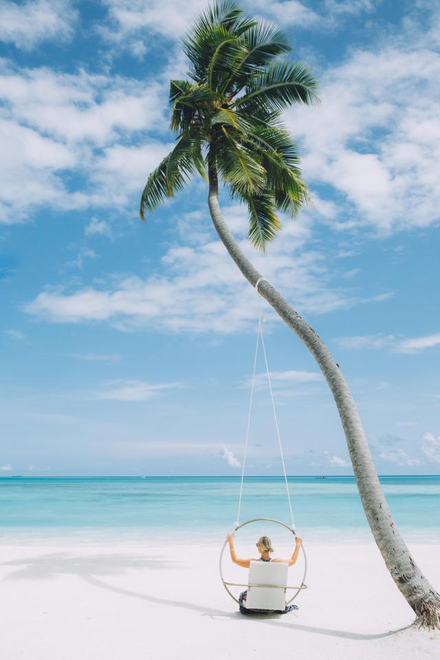 holiday