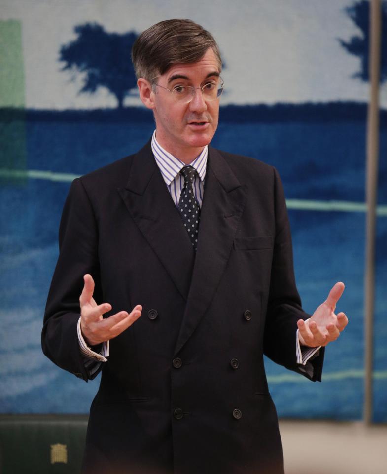  Conservative MP Jacob Rees-Mogg is a staunch Brexit supporter
