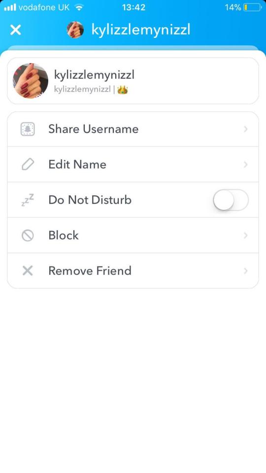  You can check if someone is following you by whether or not there is a Snapchat score next to their username