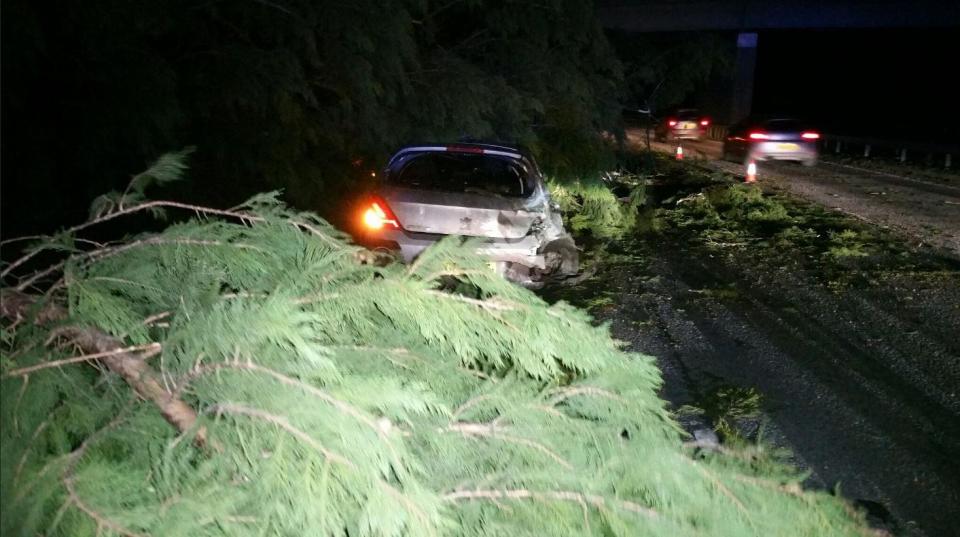  A tree has fallen onto a car on the M6 south at junction 33