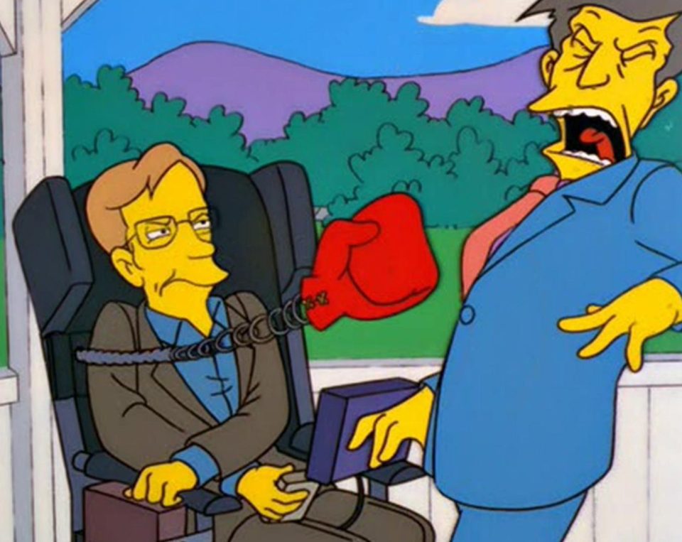  Stephen Hawking famously appeared in The Simpsons