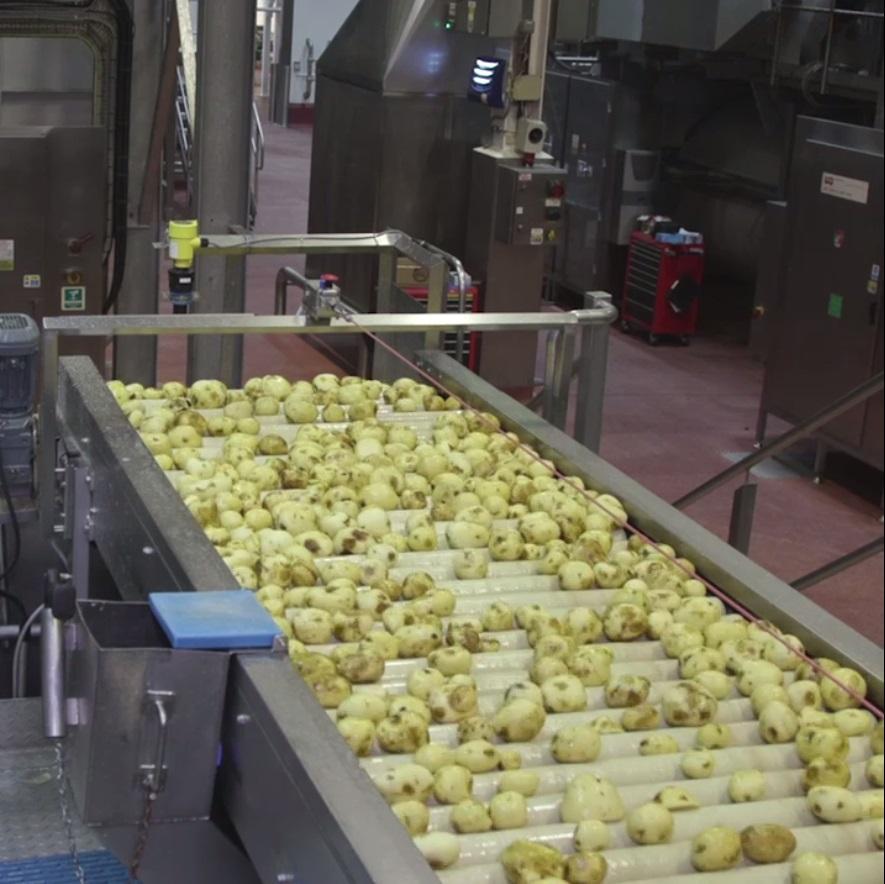  Only the top layer is taken off so that each spud keeps its natural fibre