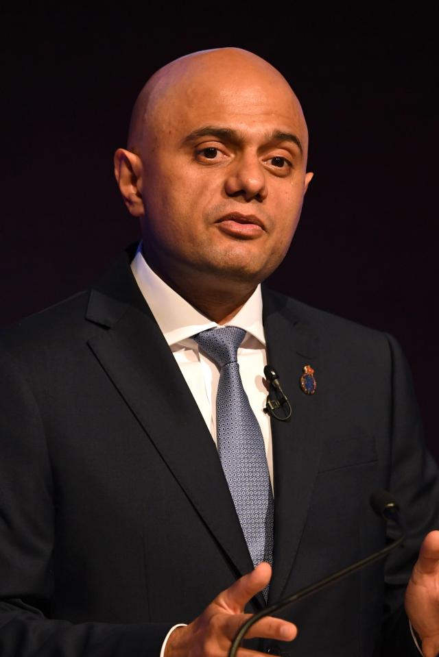  Home Secretary Sajid Javid could present a challenge to a Gove-Davidson succession