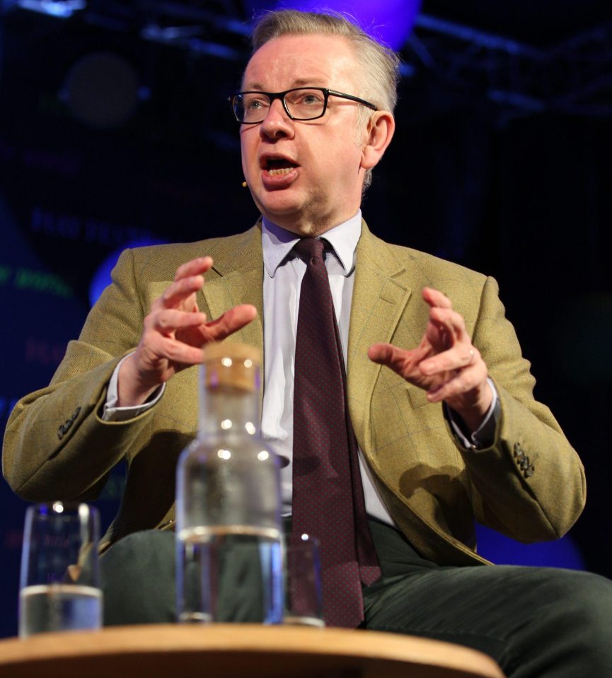  Under the plan senior Tories are hatching, leading Brexiteer Michael Gove would take the keys to No10 for two years to finish Brexit