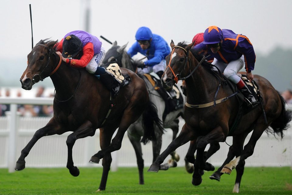  Estimate powers away to Gold Cup glory