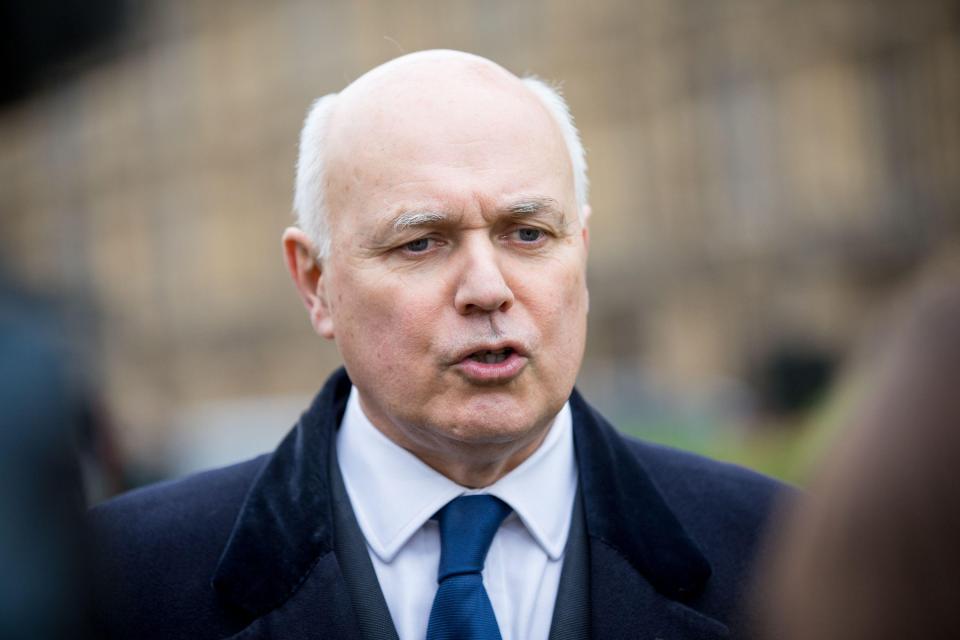 Tory Eurosceptic Iain Duncan Smith said Mr Varadkar should stop 'strutting around and start behaving like an adult'