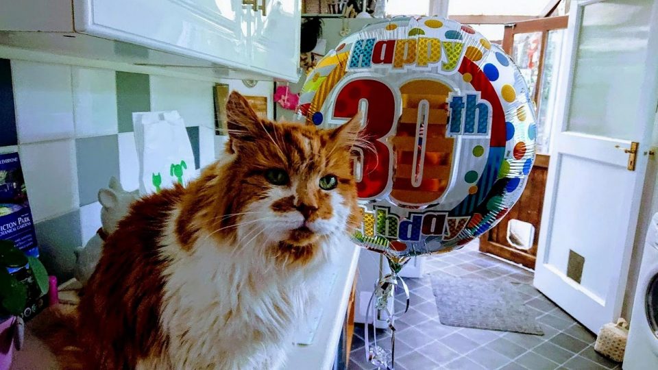  Rubble celebrated his 30th birthday with a visit to the vets