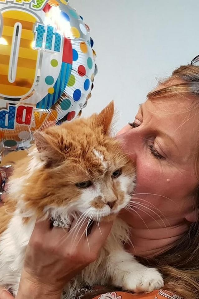  Owner Michele said Rubble wants to be left alone in his old age