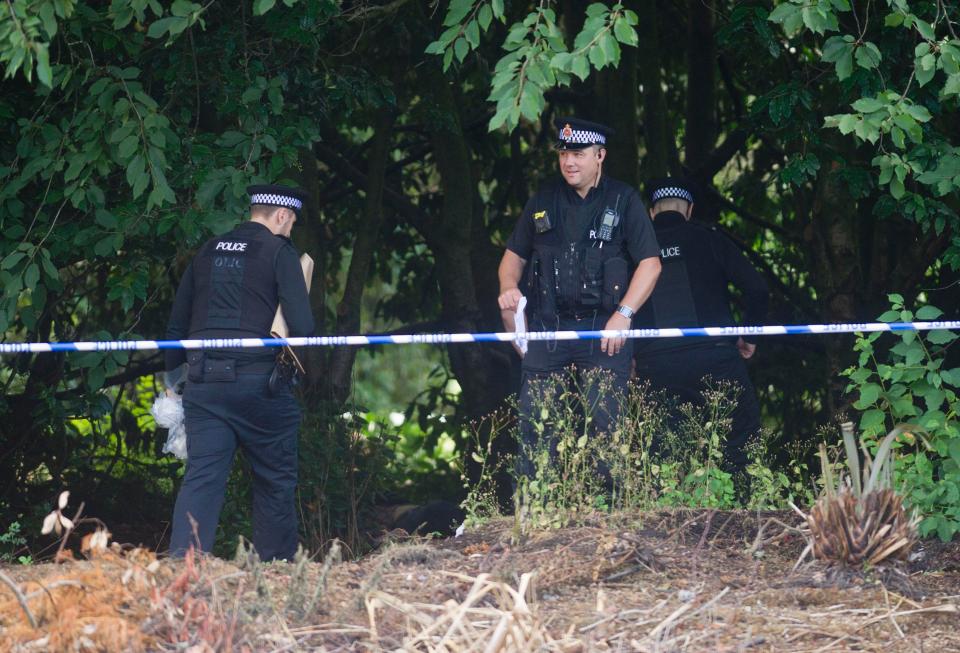 Police are not treating the deaths of the two twins as suspicious