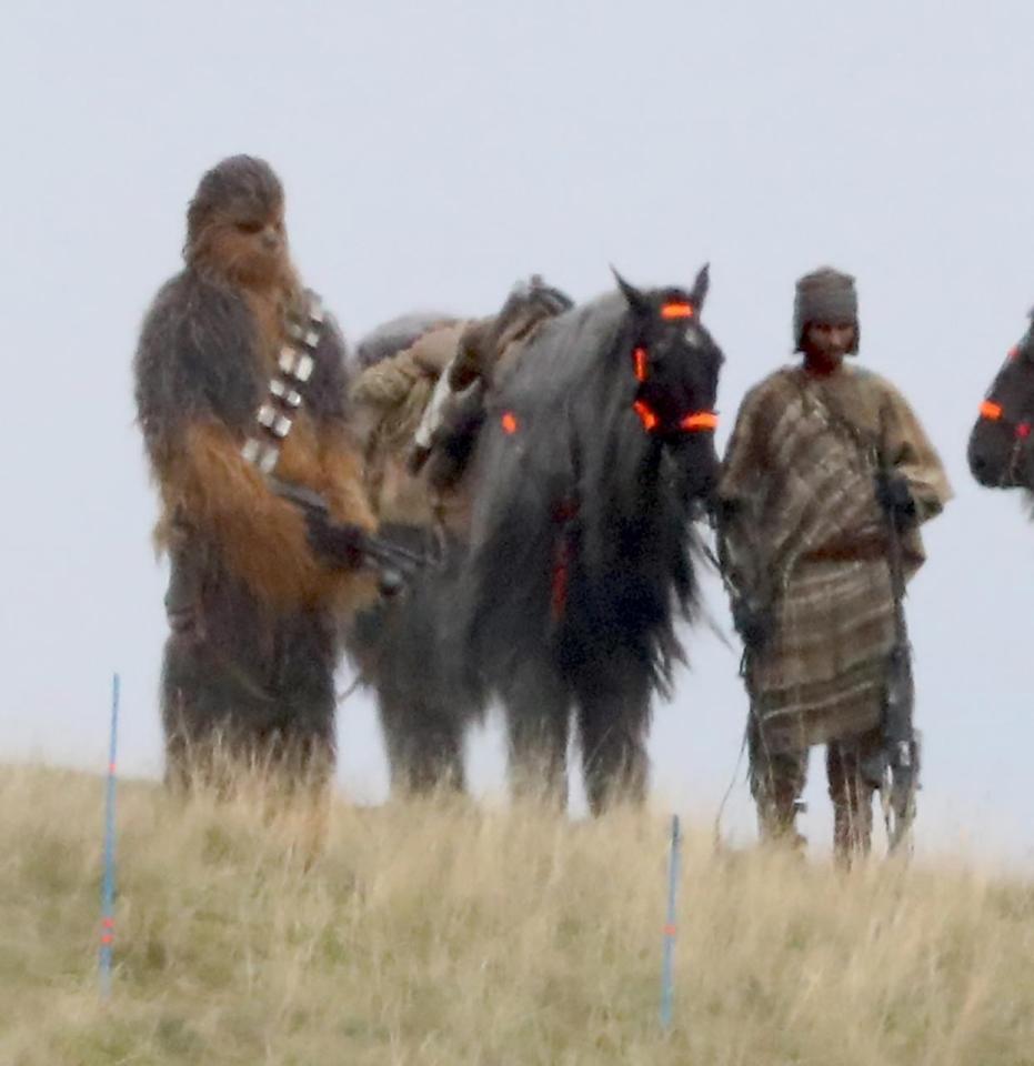  Chewbacca was spotted standing at the top of the hill with some extras and some horses which were covered in grey fur