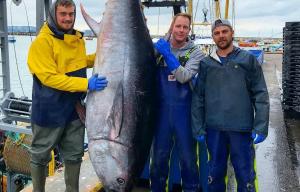 This enormous bluefin tuna could feed a small town but must be destroyed under EU law