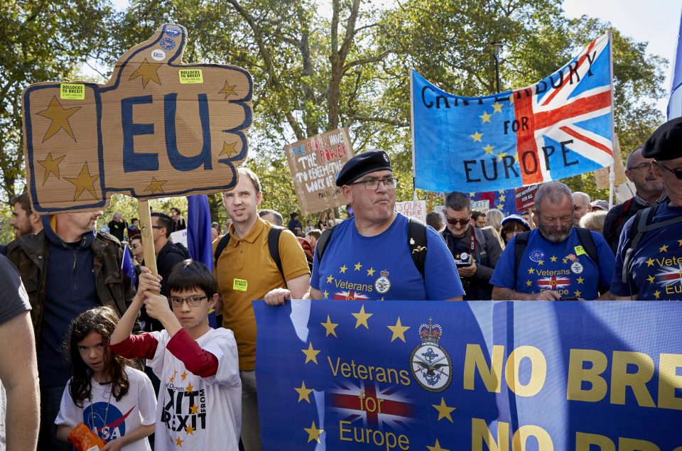 Hundreds of thousands of people took to the streets for the walk from Park Lane to Parliament Square