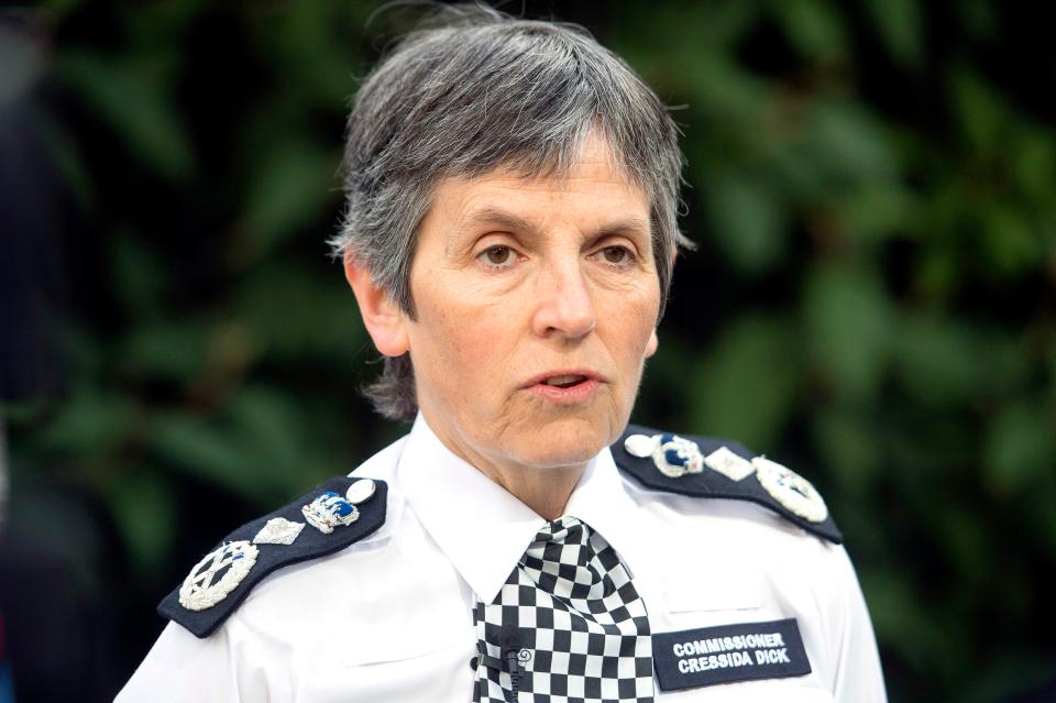  Metropolitan Police Commissioner Cressida Dick has accused the Government of shying away from soaring crime