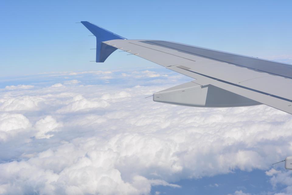 Plane wing