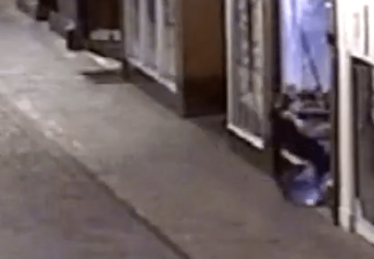 He crashes into the tent sheltered beneath a shop walkway