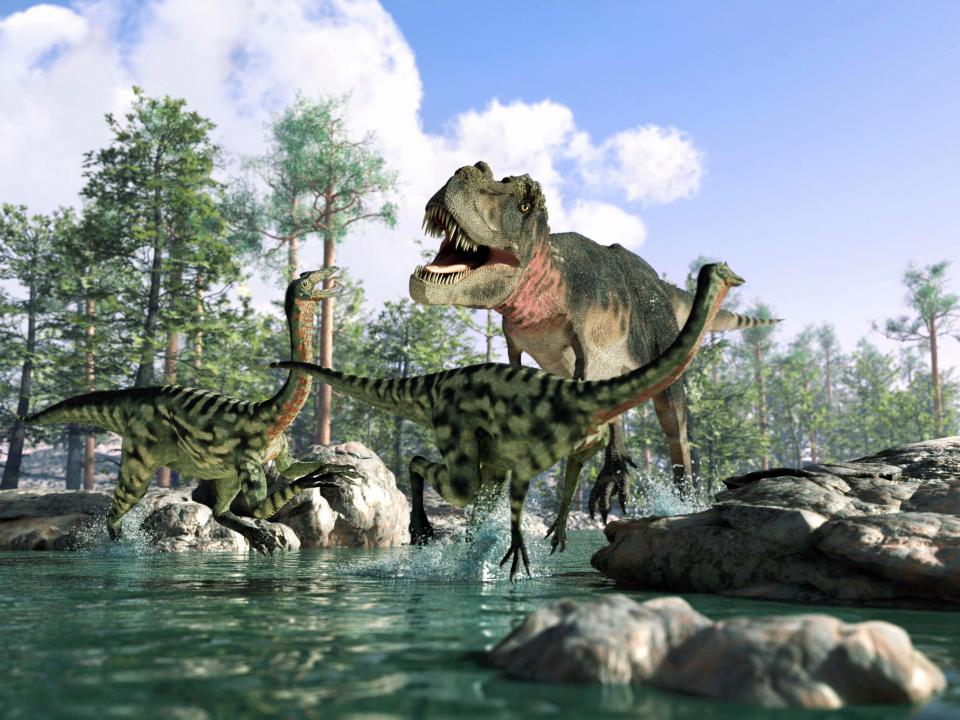  The plant-eating dinosaurs were in turn eaten by the mighty Tyrannosaurus Rex