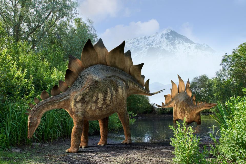  The mind-bending spores were around when giant plant-eating dinosaurs roamed the Earth