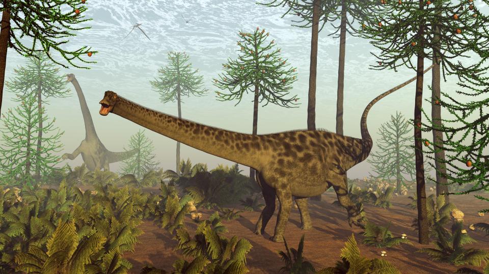  The spores, which lived on grass, are believed to have been part of the diets of huge herbivores like the Diplodocus