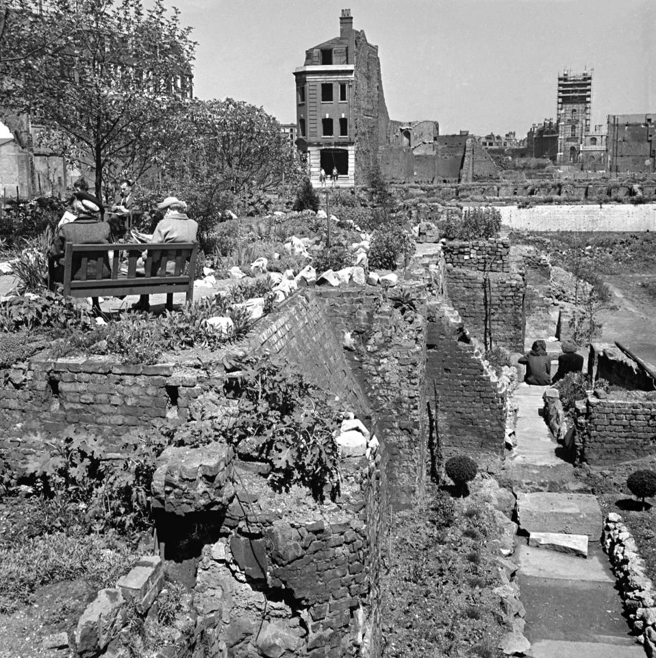 Often among the rubble and the torn, empty houses, is a spectacular garden