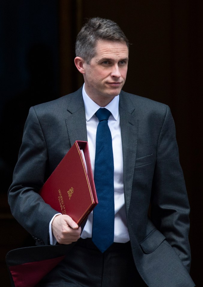 Gavin Williamson has said 'ground breaking' drones could be on the frontline by the end of the year
