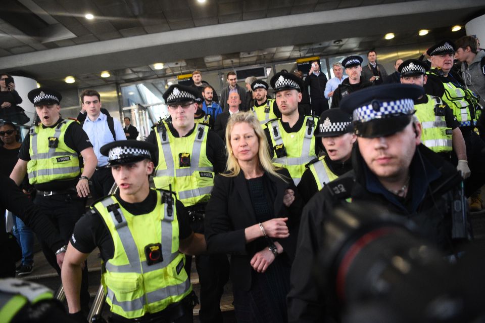  One of the campaigners was led away by police after being removed from the train