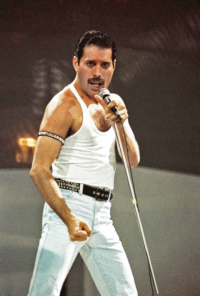 The late Freddie Mercury died of complications related to AIDS in 1991, aged just 45