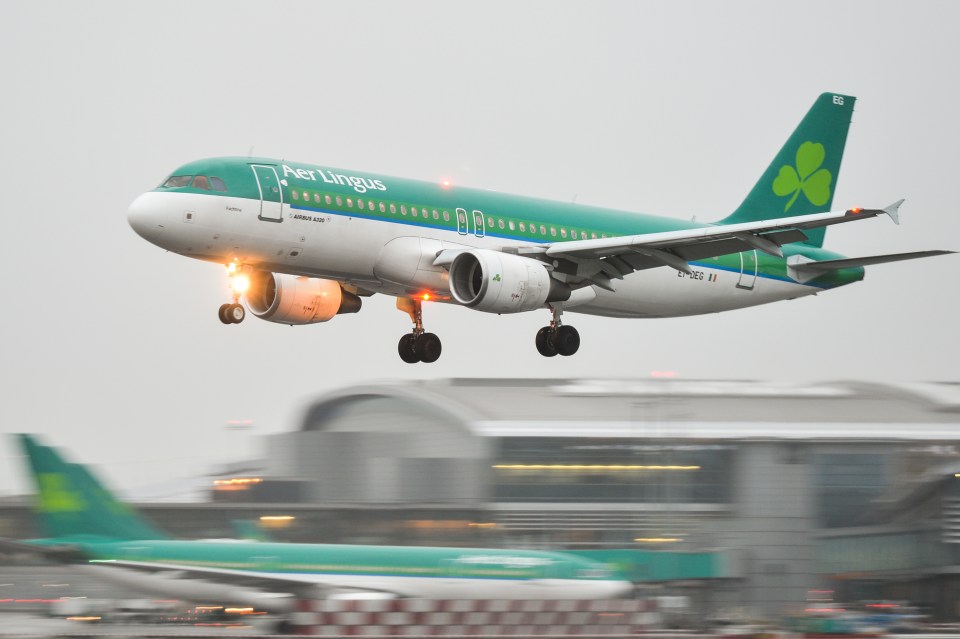 An Aer Lingus plane about to land on the runway at Dublin airport