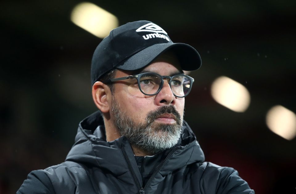  Ex-Huddersfield manager David Wagner has been appointed the new boss of Schalke