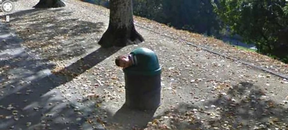  This guy seems to have a slight problem after getting caught stuck in a bin