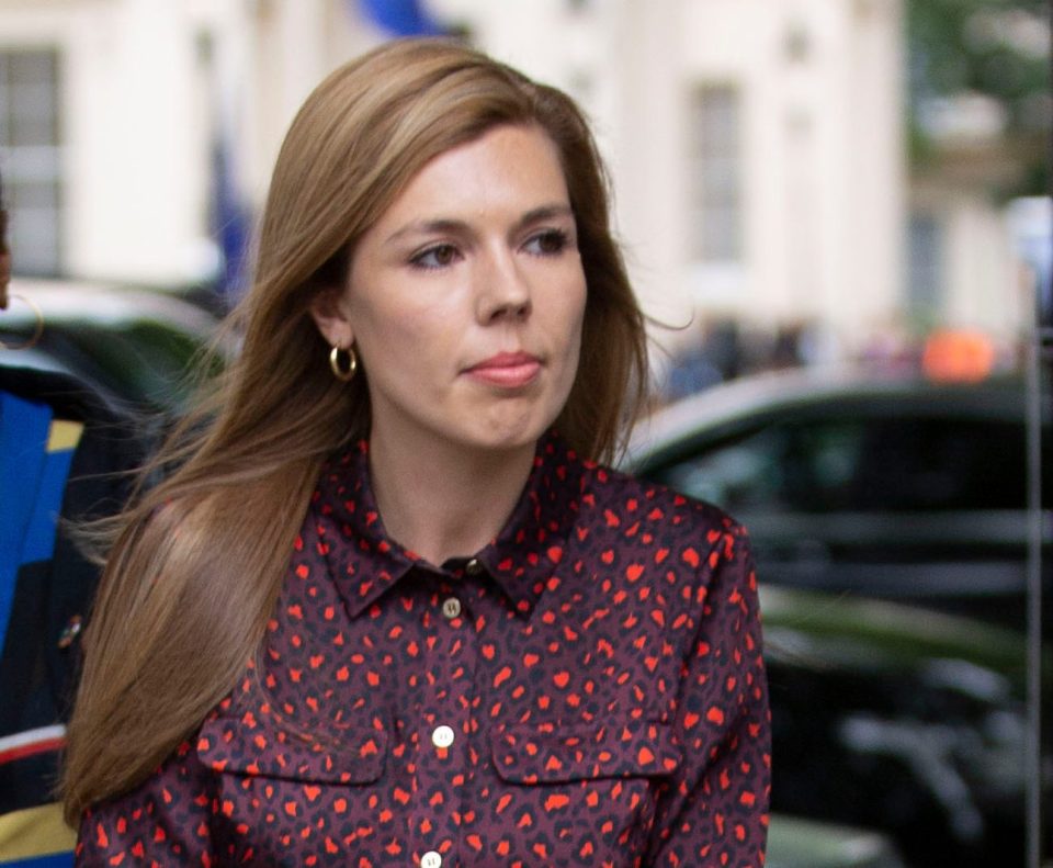  Boris Johnson's partner Carrie Symonds brands the cop call a 'stitch-up'