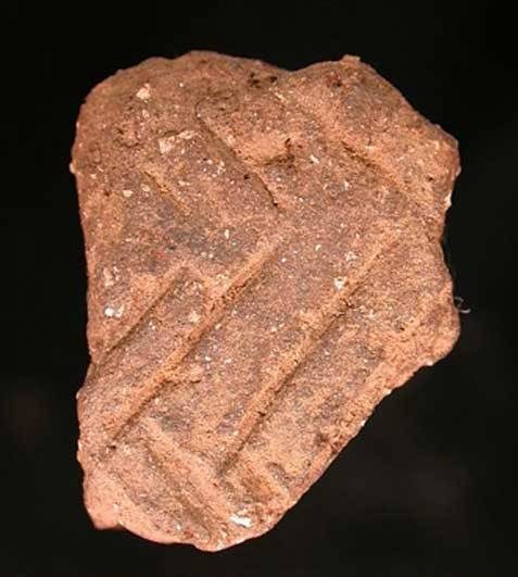  The researchers analysed the substances on grooved ware pottery shards like this