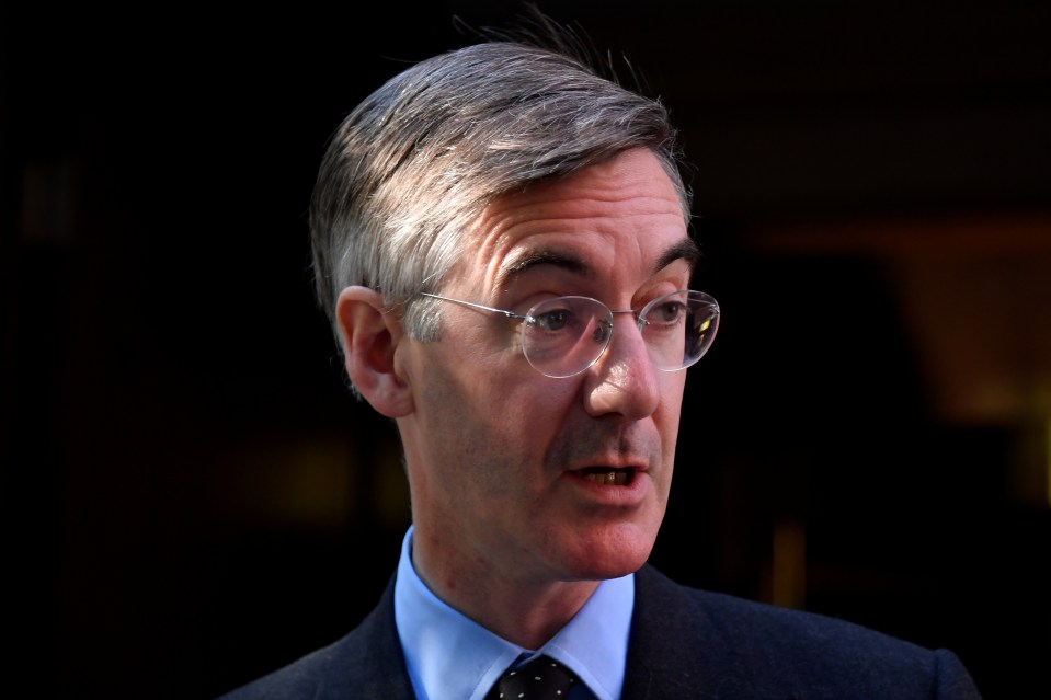  Jacob Rees-Mogg is a devout Catholic and Conservative MP for North East Somerset