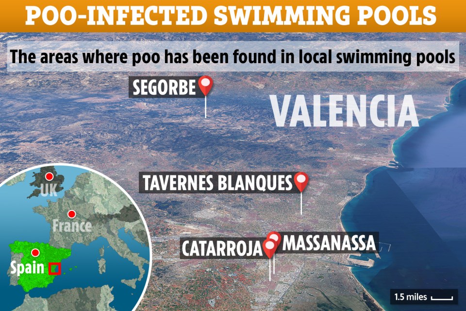 The areas where poo has been found in swimming pools