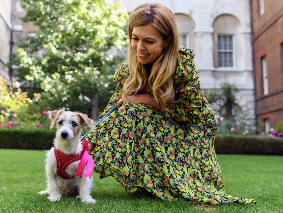 Carrie with new pet dog Dilyn