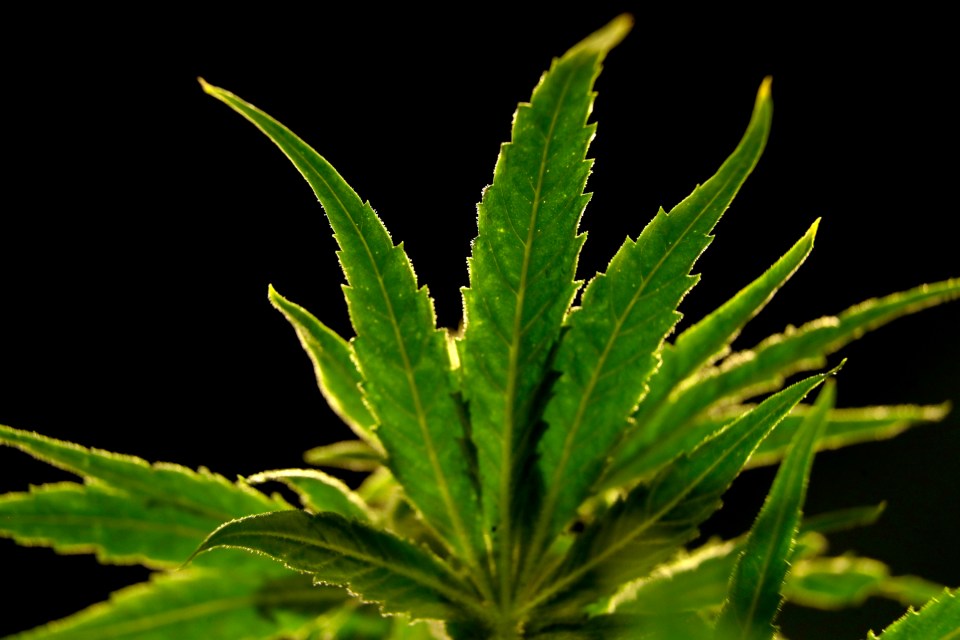  The Class B drug carries a prison sentence and fine as a maximum punishment for possession