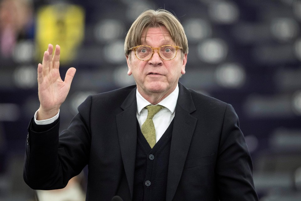  Guy Verhoftstadt said a Brexit extension would be 'unacceptable'
