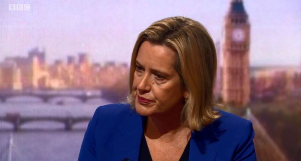  Amber Rudd has claimed the Government is not putting in enough work to avoid a No Deal Brexit