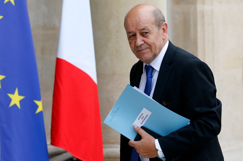French Foreign Minister Jean-Yves Le Drian said they had not seen any alternative options 