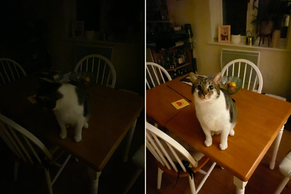 iPhone 11 Pro review camera samples